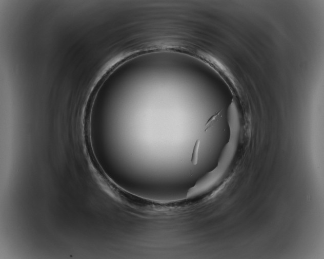 X0000087681039200705041025