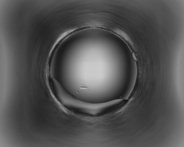 X0000087681040200705041025