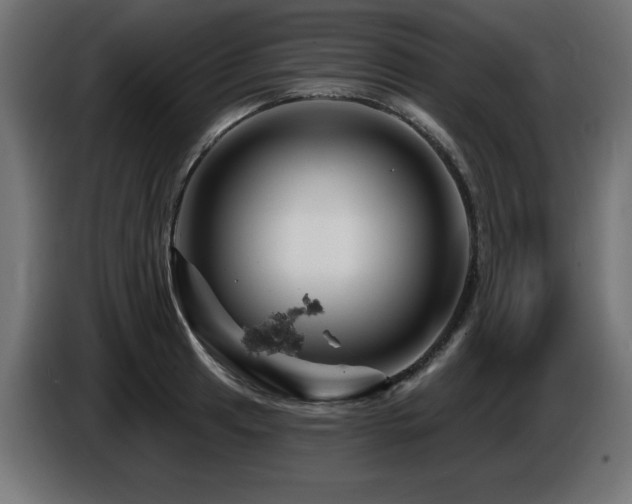 X0000087681041200705041025
