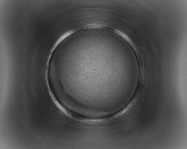 X0000087681042200705041025