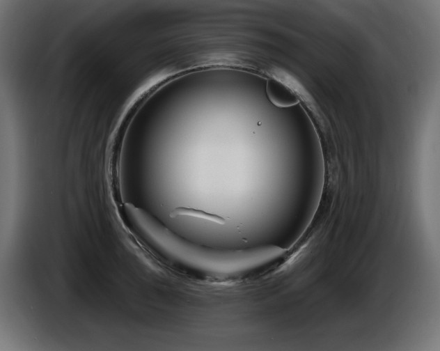 X0000087681043200705041025