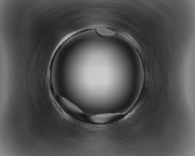 X0000087681044200705041025