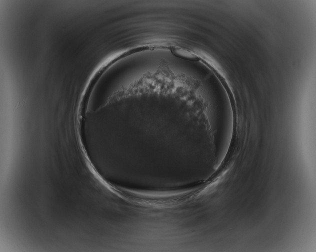 X0000087681045200705041025