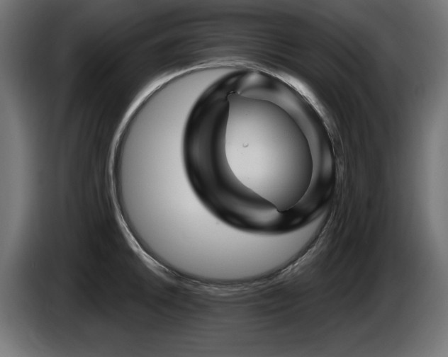 X0000087681046200705041025