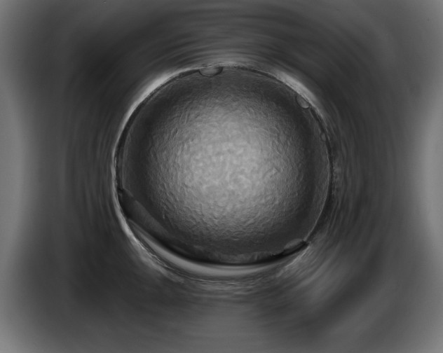 X0000087681047200705041025