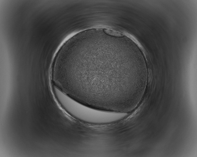 X0000087681048200705041025