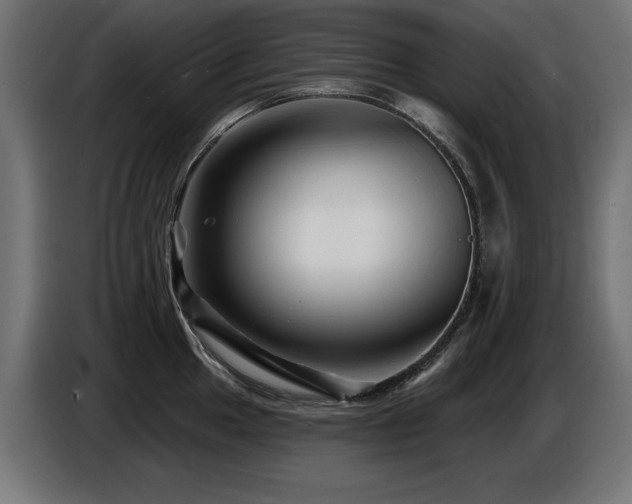 X0000087681049200705041025