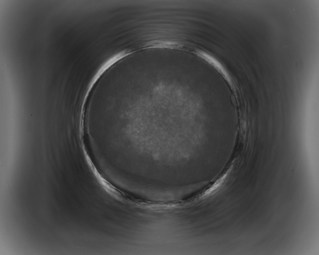 X0000087681050200705041025
