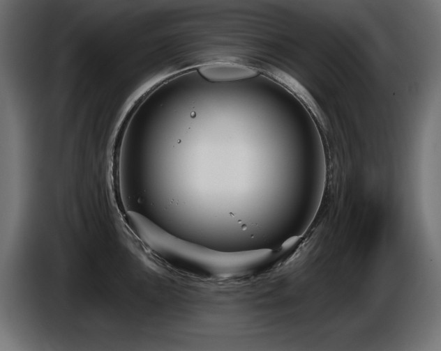 X0000087681051200705041025