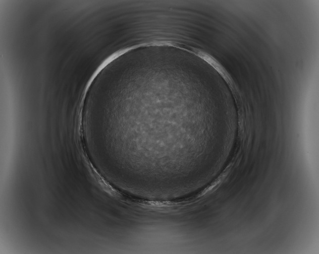 X0000087681052200705041025