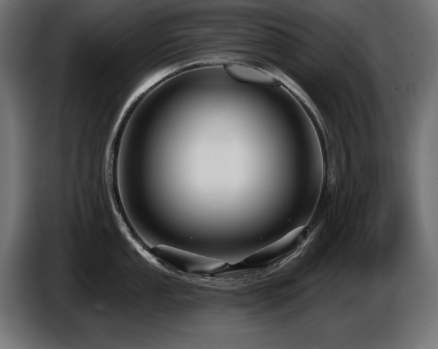 X0000087681053200705041025