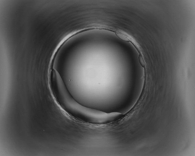 X0000087681056200705041025