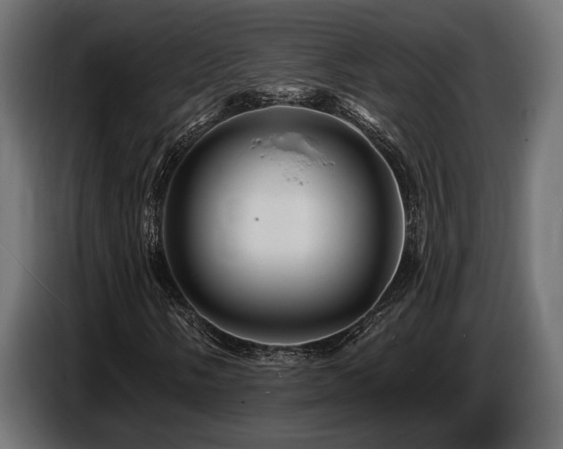 X0000087681058200705041024
