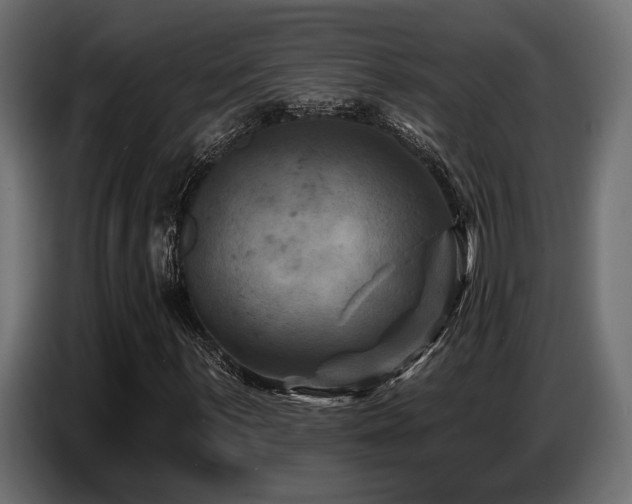 X0000087681059200705041024