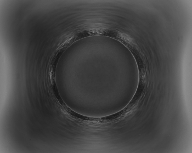 X0000087681060200705041024