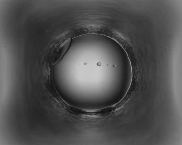 X0000087681061200705041024