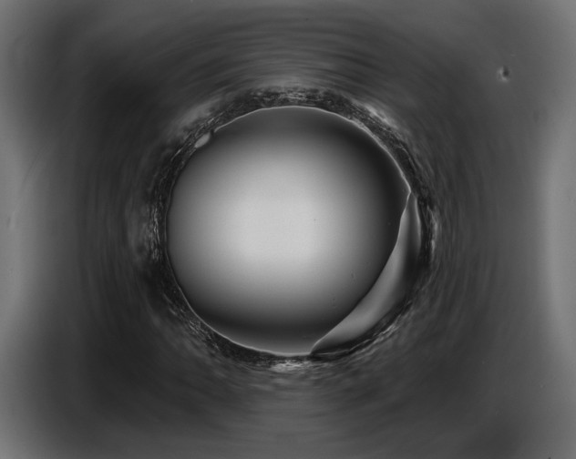 X0000087681062200705041024