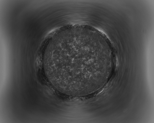 X0000087681063200705041024