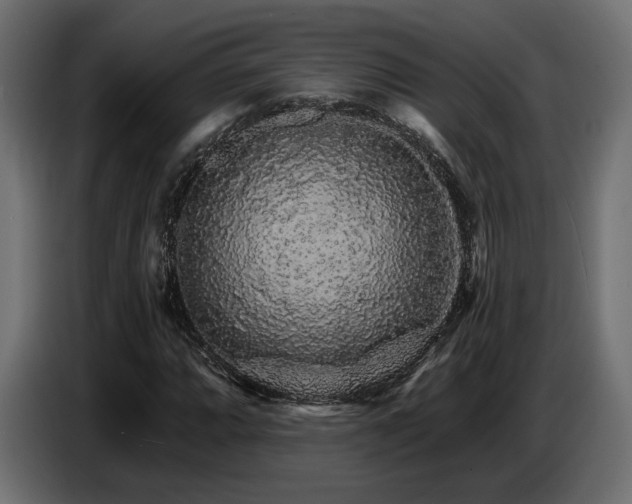X0000087681064200705041024