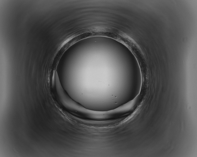 X0000087681065200705041024