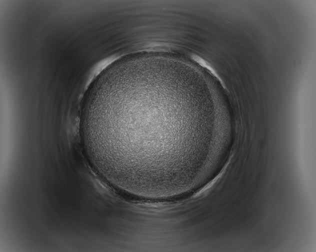 X0000087681066200705041024