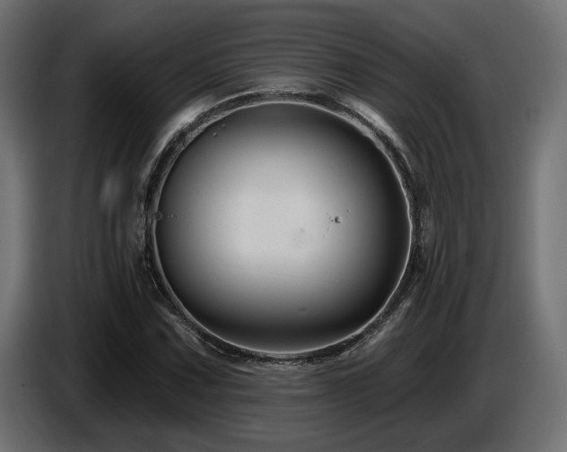 X0000087681067200705041024