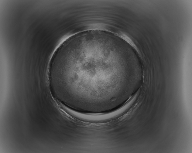 X0000087681068200705041024