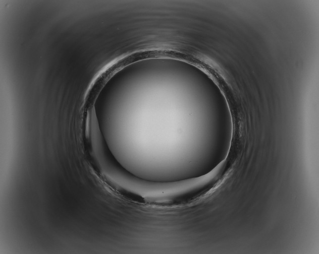 X0000087681069200705041024
