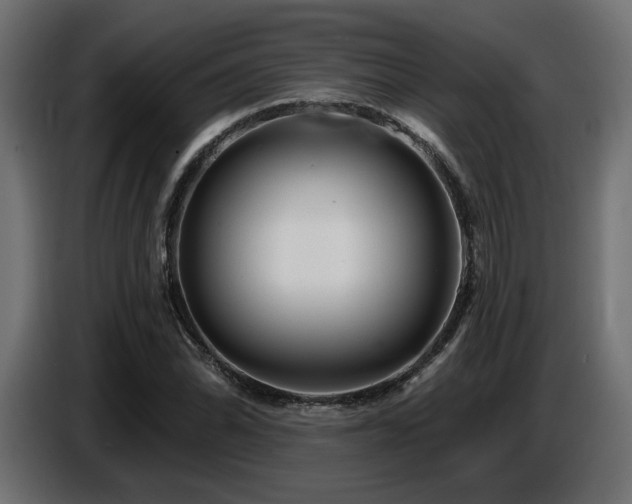 X0000087681070200705041024