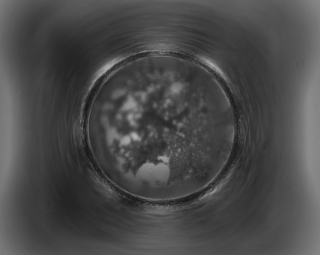 X0000087681071200705041024