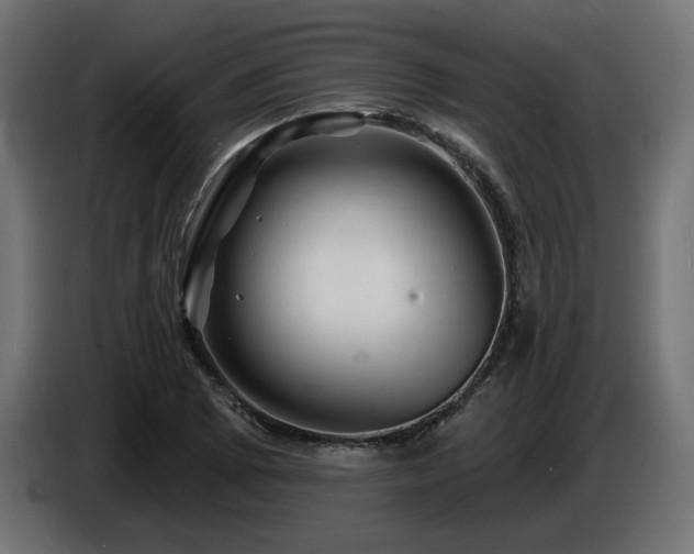 X0000087681073200705041024
