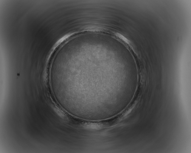 X0000087681074200705041024