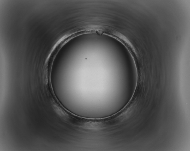 X0000087681075200705041024