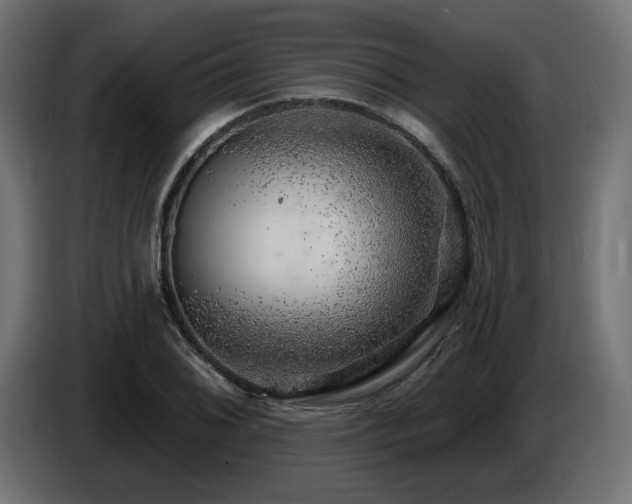 X0000087681076200705041024
