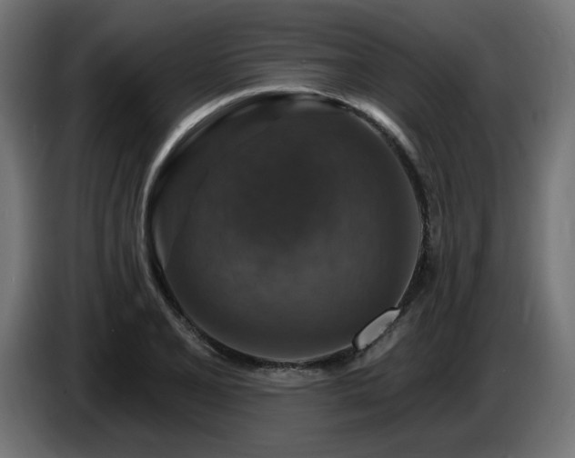X0000087681077200705041024