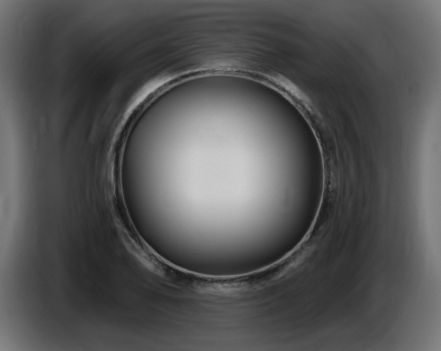 X0000087681078200705041024