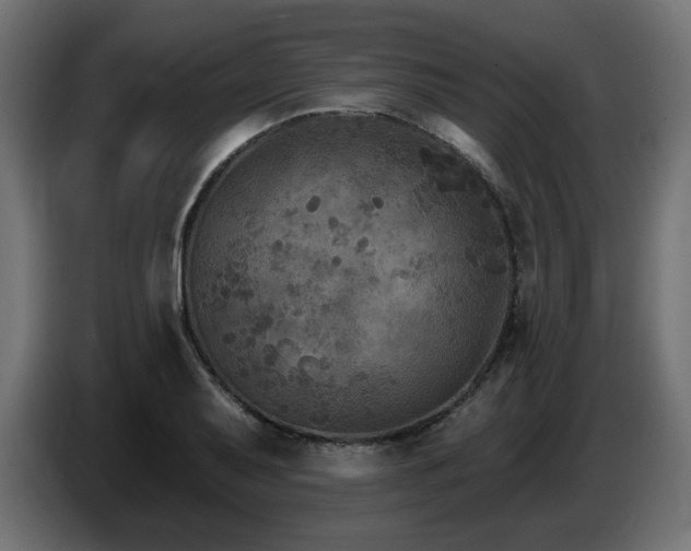 X0000087681079200705041024