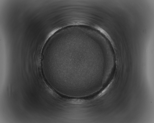 X0000087681081200705041024