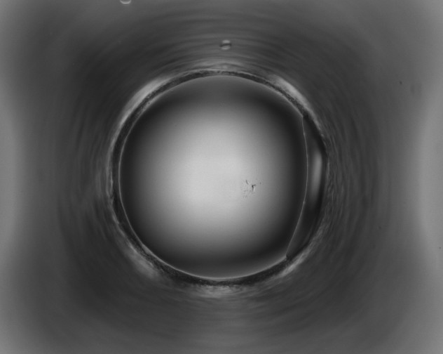 X0000087681082200705041024