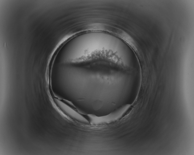 X0000087681084200705041024