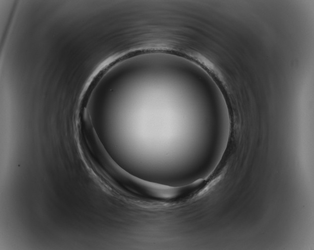 X0000087681085200705041024