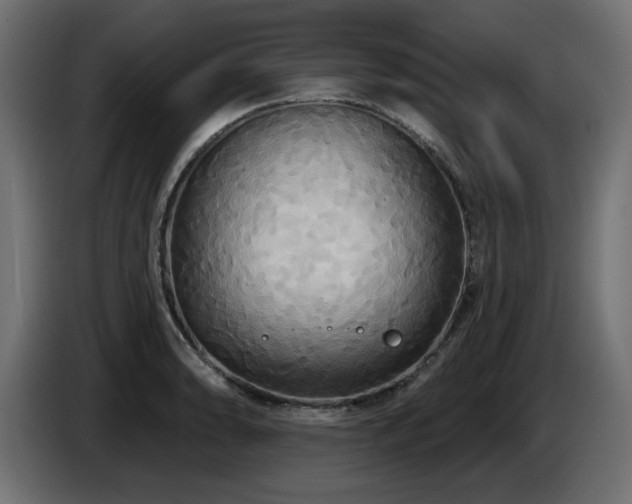 X0000087681086200705041024