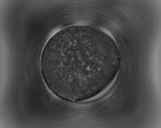 X0000087681087200705041024