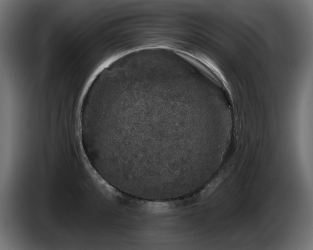 X0000087681088200705041024