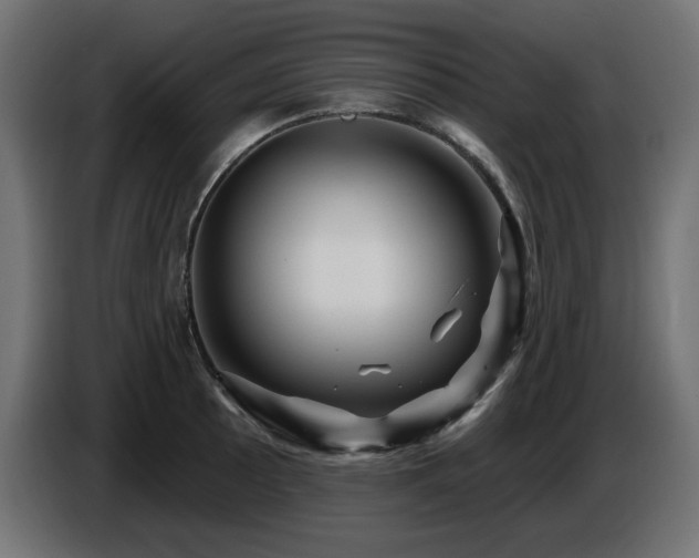 X0000087681089200705041024
