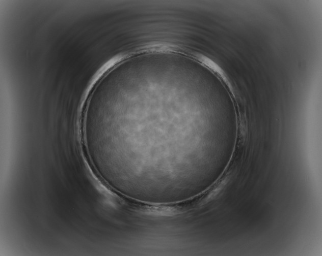 X0000087681090200705041024