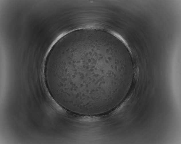 X0000087681091200705041024