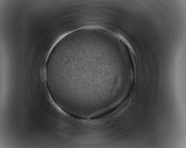 X0000087681092200705041024