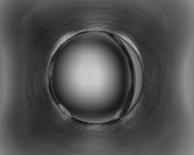 X0000087681093200705041024