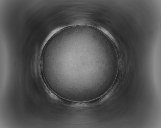 X0000087681094200705041024